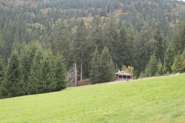 Land-gut-Hotel Großbach (Sankt Blasien)